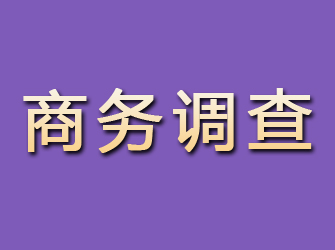 额济纳旗商务调查